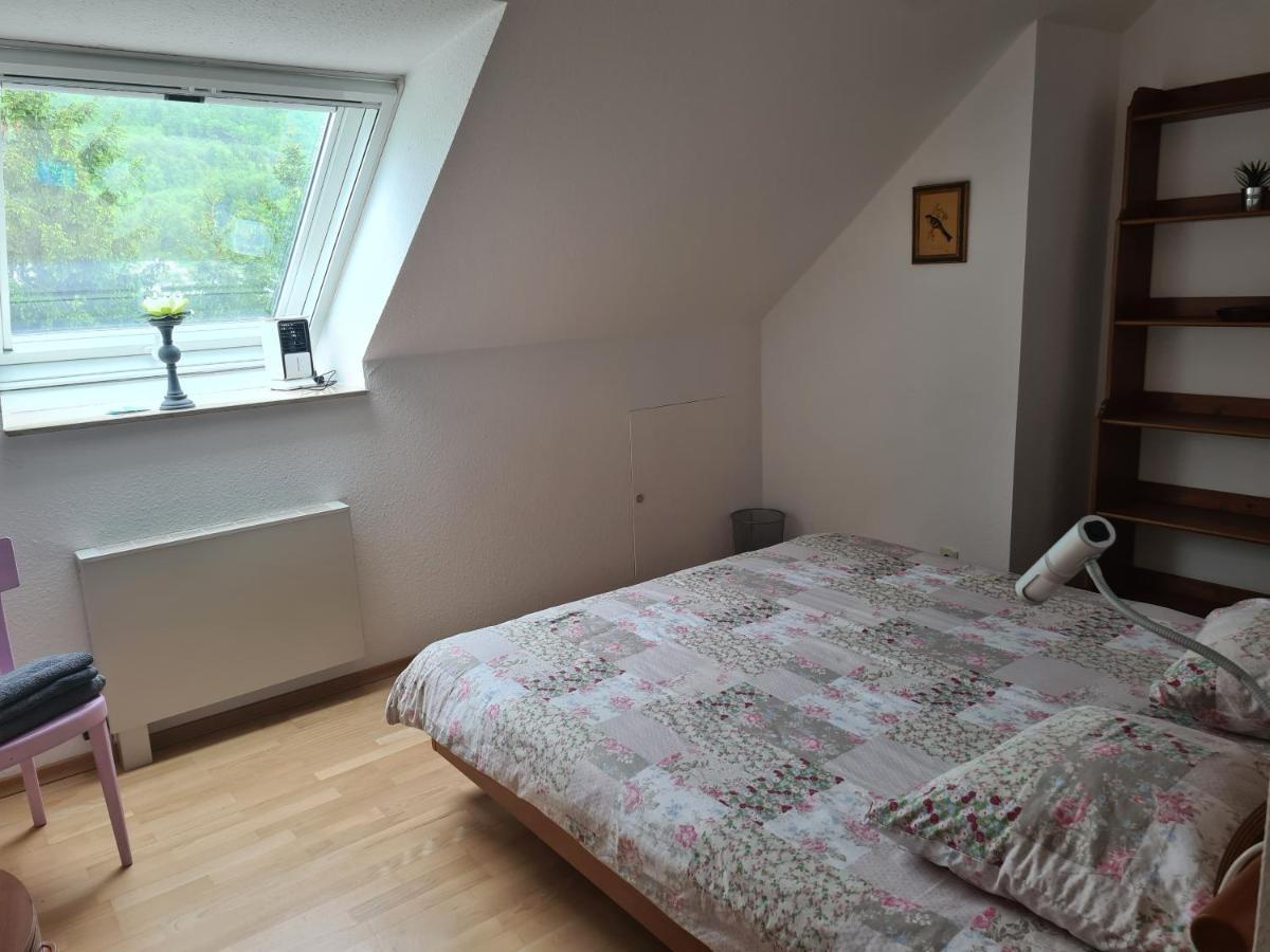 Zimmer Paradiso Busingen am Hochrhein Exterior foto